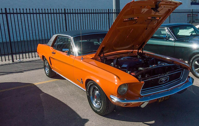 Highlights 50 Tahun Ford Mustang: Las Vegas Motor Speedway  