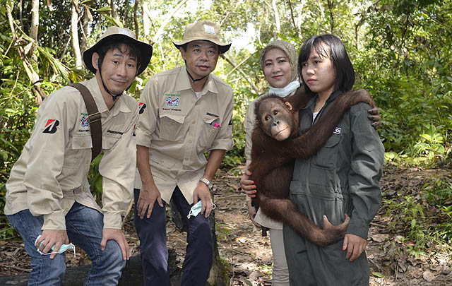Bridgestone Indonesia Terus Dukung Program 'ECOPIA Supports Orangutan'  