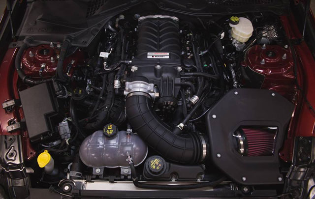 Ford Mustang GT 5.0L V8 ini Mampu "Tendang" Banteng Italia 