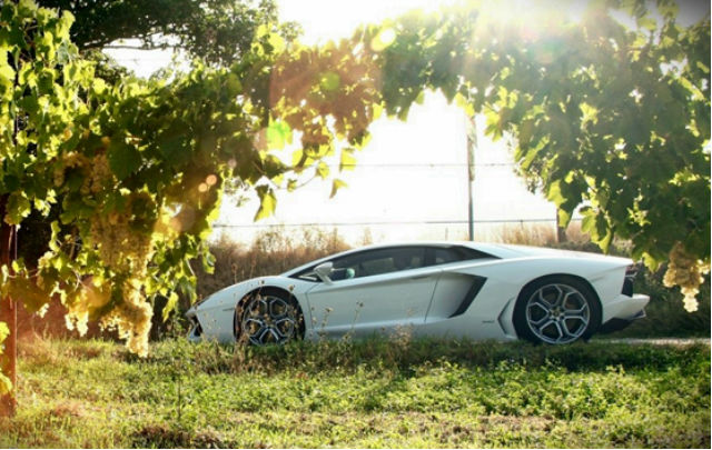 Dari Aventador untuk Jackie Chan  