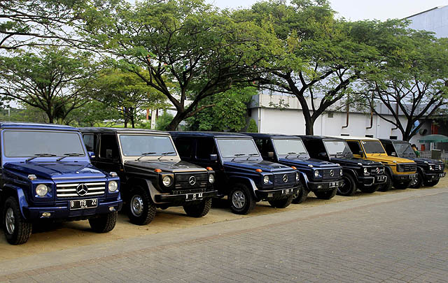 Digelar Sederhana, Perayaan HUT MJI ke-16 Tetap Meriah  