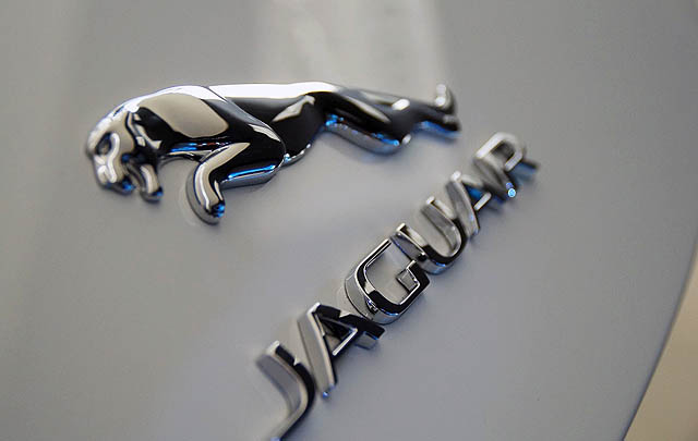 Belum Capai Target, PT GAD Tetap Optimis