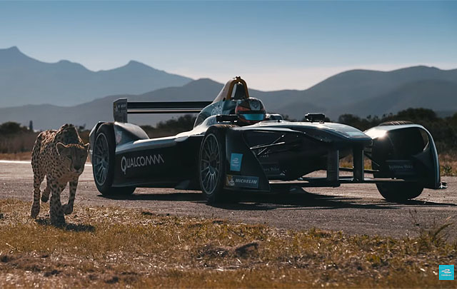 Mobil Balap Formula E atau Cheetah, Mana yang Lebih Cepat? (Video)  