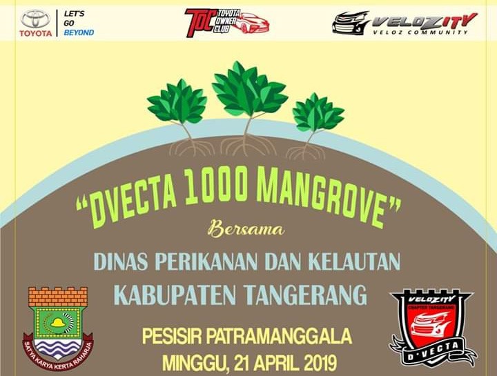 Penanaman 1000 Pohon Mangrove Oleh D’VECTA  