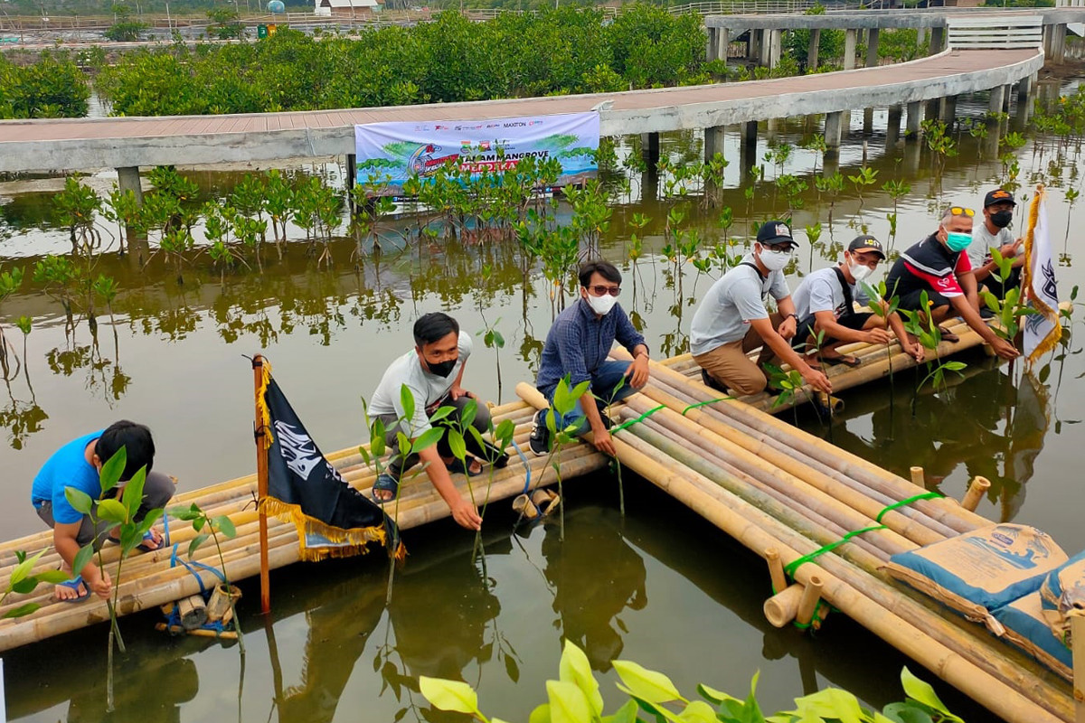 Cegah Abrasi, Velozity Chapter Tangerang Tanam 1000 Mangrove 